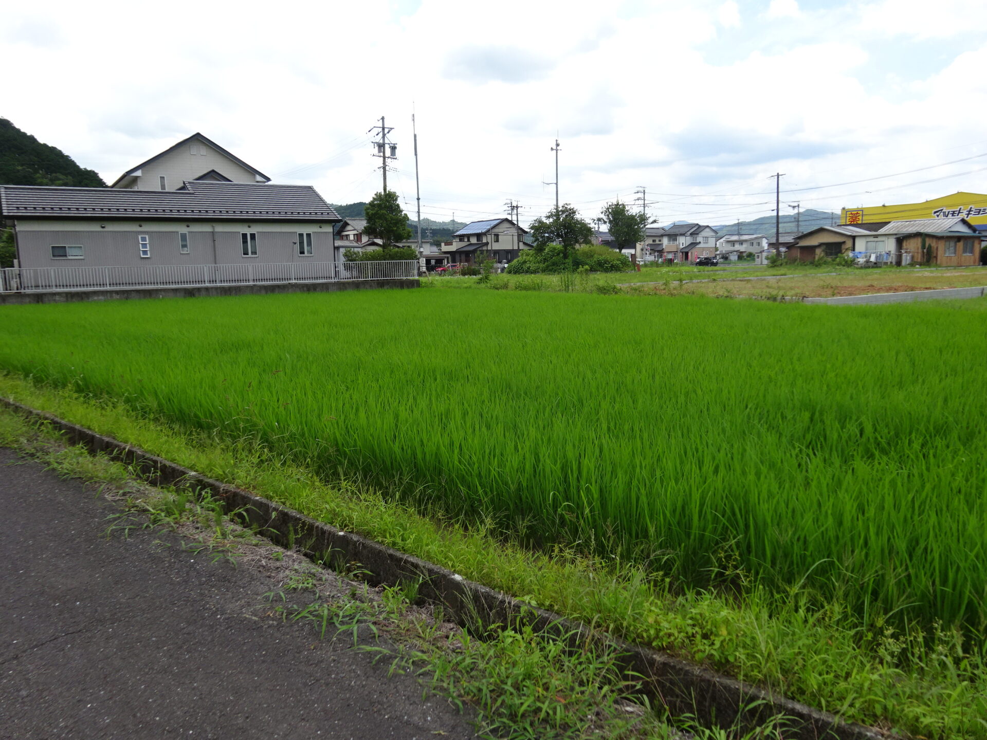 山県市高富　土地面積718.00㎡（217.19坪）