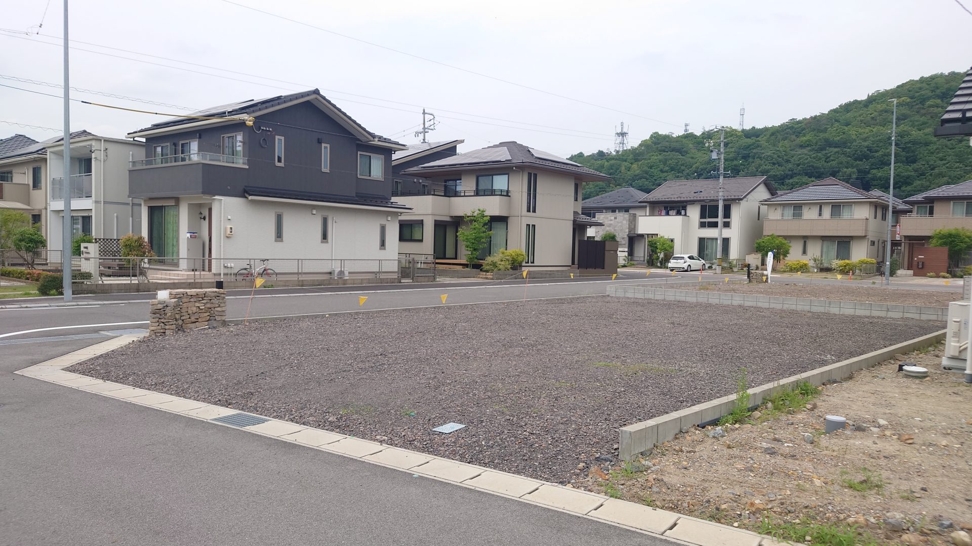 10号地写真