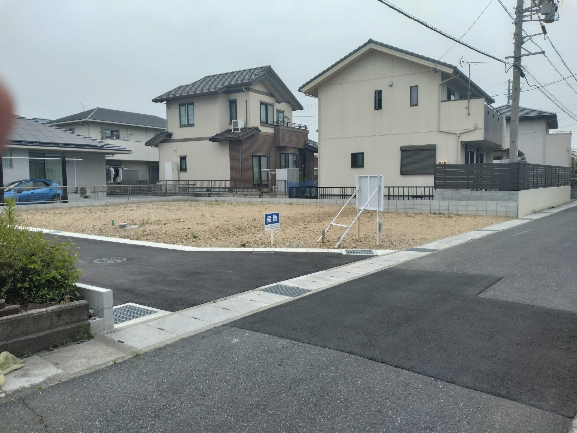 現地写真　1号地