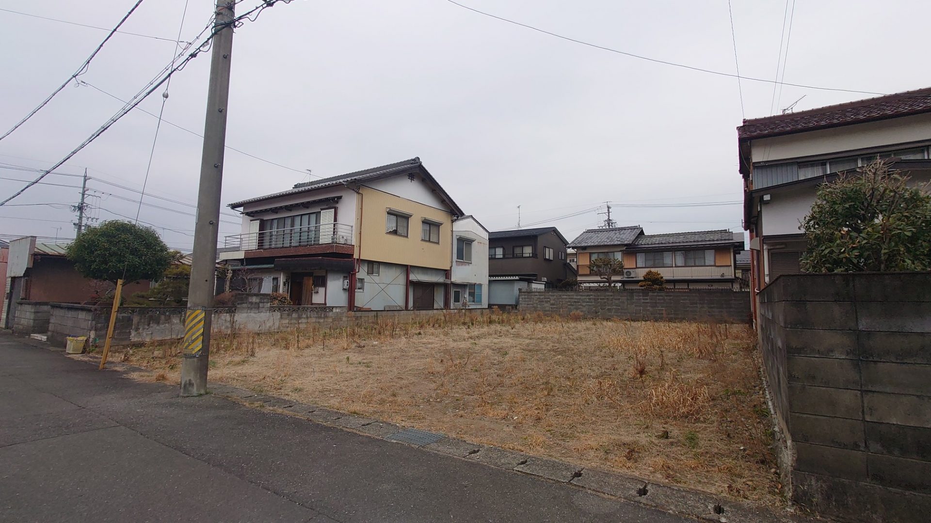 現地写真