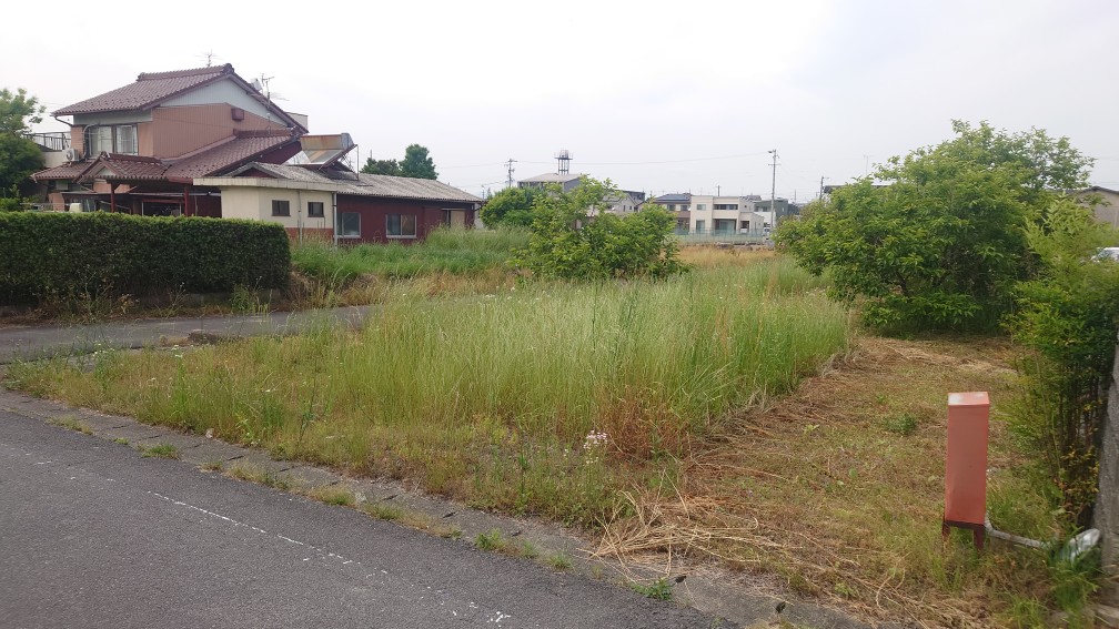 現地南側道路より撮影