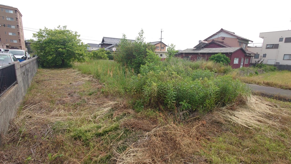 敷地北側より撮影