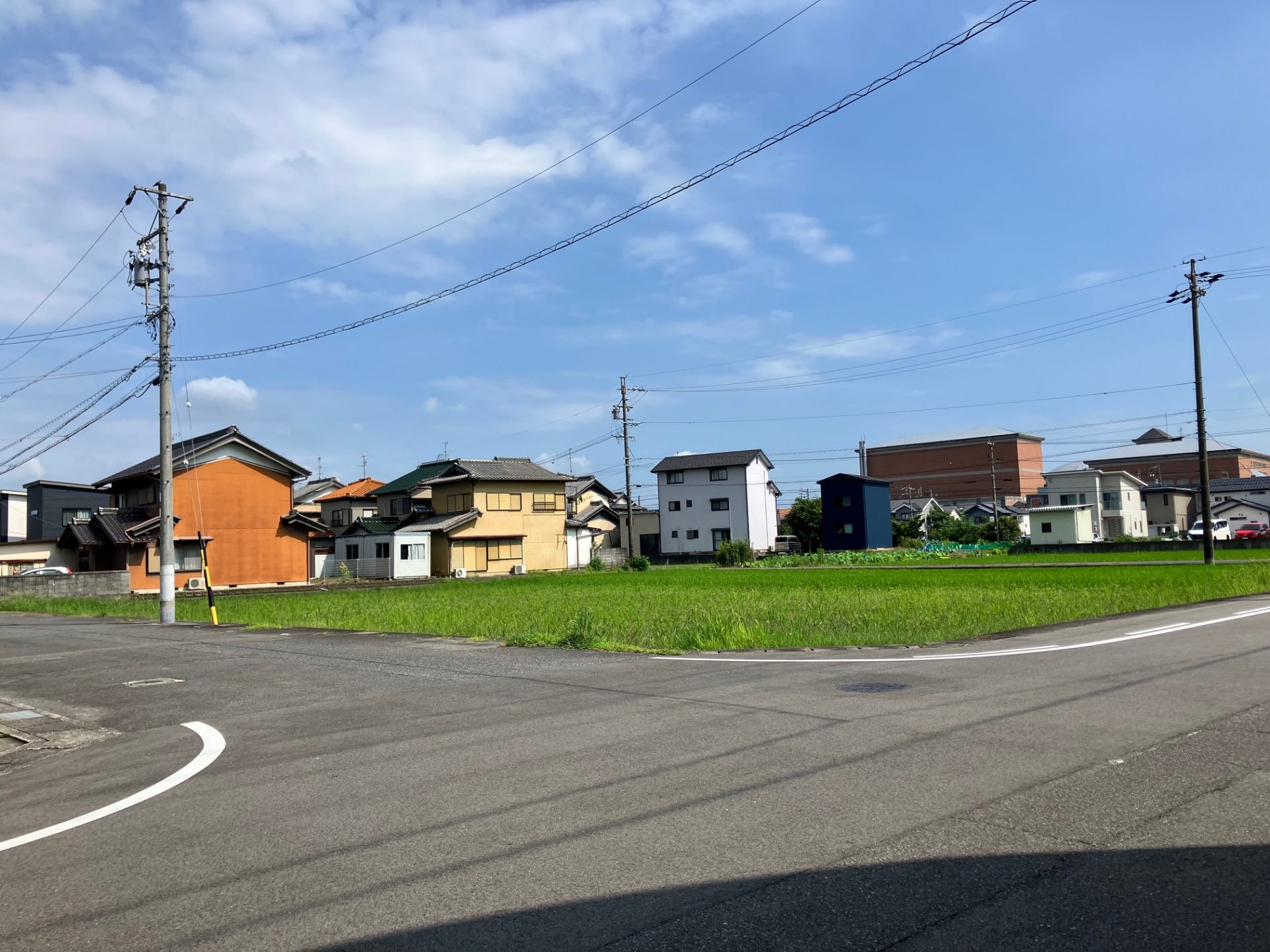 現地写真