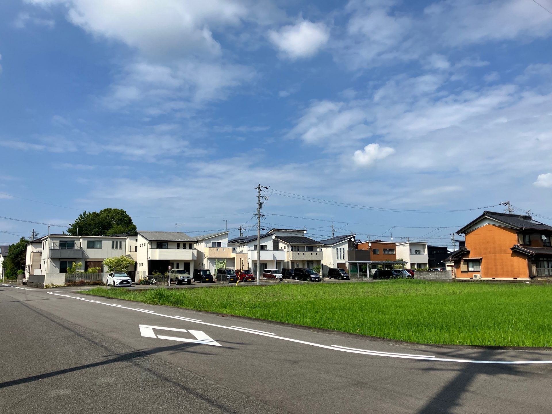 現地写真